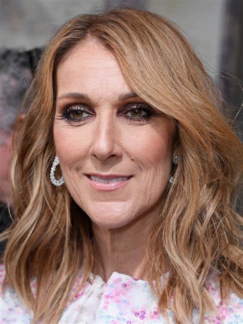 dior or celine|celine dion biography.